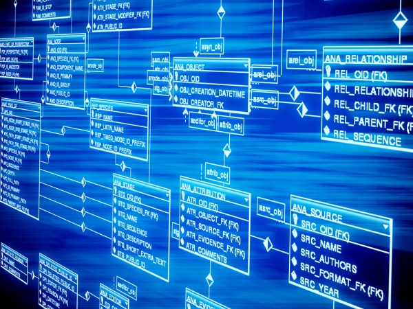GESTIONE AVANZATA DI UN DATABASE